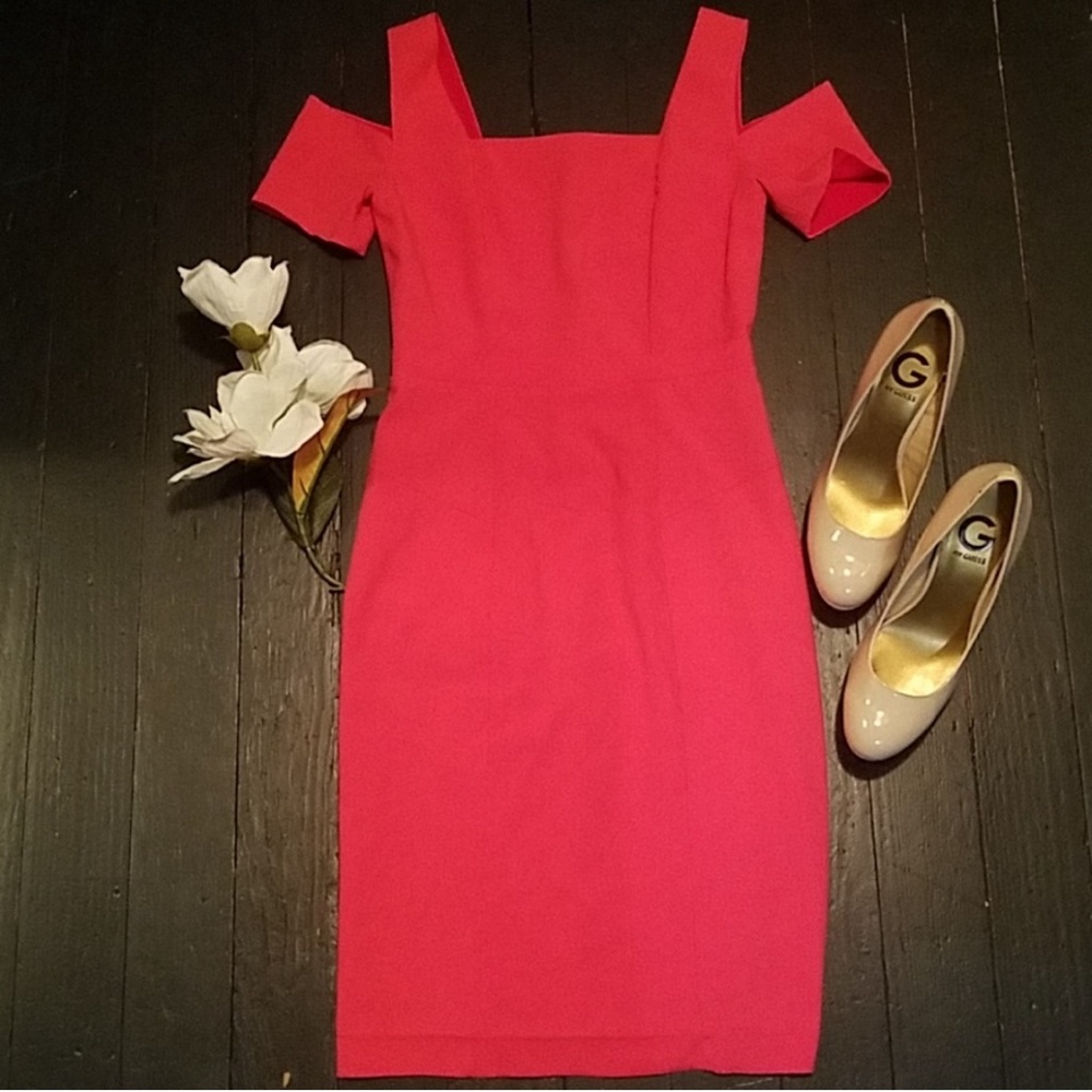 NWOT Bcbgmaxazria formal dress